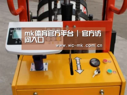 mk体育app案例展示三(图1)