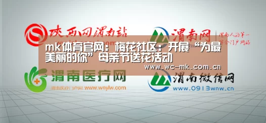 mk体育入口