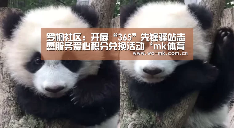 罗桐社区:开展“365”先锋驿站志愿服务爱心积分兑换活动‘mk体育在线’(图1) mk体育入口