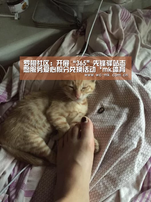 罗桐社区:开展“365”先锋驿站志愿服务爱心积分兑换活动‘mk体育在线’(图4) mk体育在线