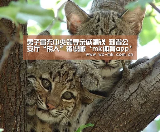 男子冒充中央领导亲戚骗钱 到省公安厅“捞人”被识破‘mk体育app’(图3) mk体育官网