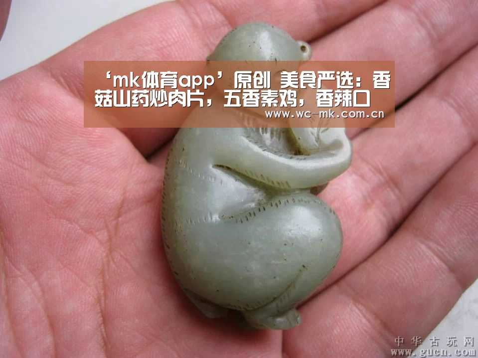 mk体育入口