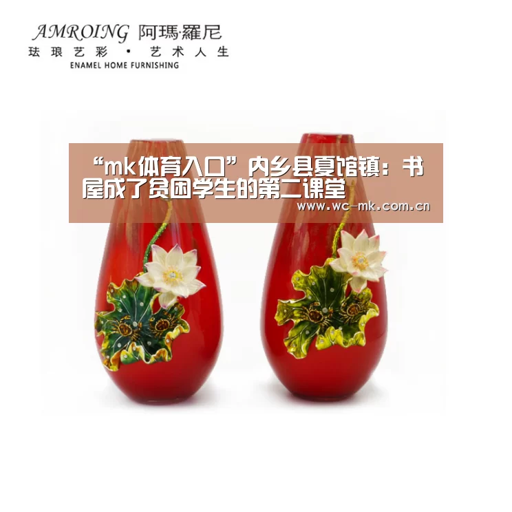 “mk体育入口”内乡县夏馆镇:书屋成了贫困学生的第二课堂(图2) mk体育入口