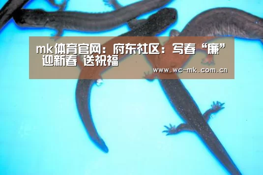 mk体育官网:府东社区:写春“廉” 迎新春 送祝福(图1) mk体育官网